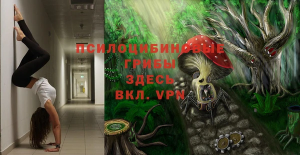 бошки Алзамай