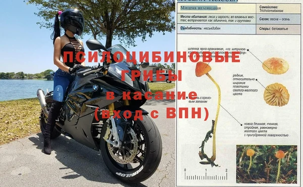 марки lsd Алексеевка
