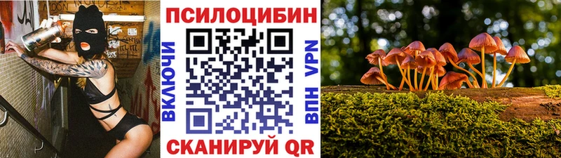 Галлюциногенные грибы Cubensis наркотики Апрелевка